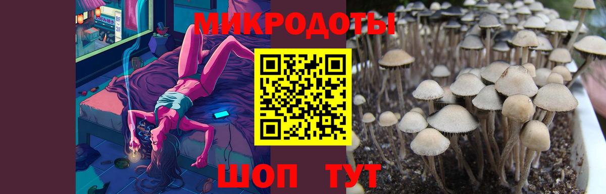 Кумертау  Псилоцибиновые грибы GOLDEN TEACHER  Вход с VPN 