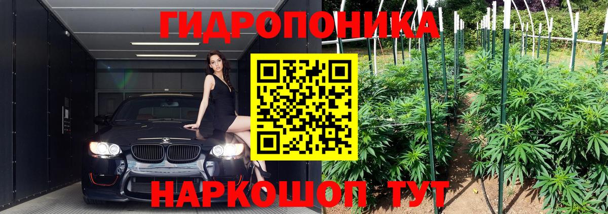 Конопля марихуана  Вход с VPN  Марихуана Amnesia  Кумертау  Бошки Шишки Amnesia  Конопля семена 